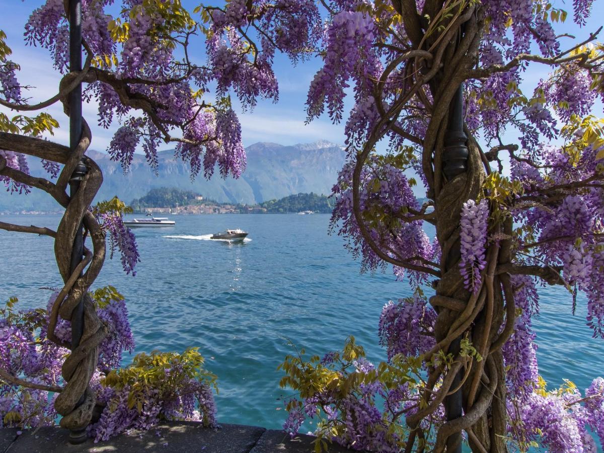 Vista D'Oro Apartments Perledo Dış mekan fotoğraf