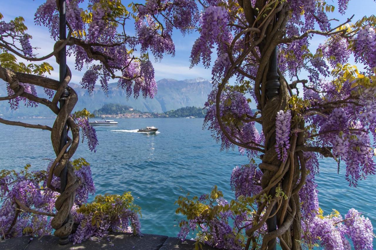 Vista D'Oro Apartments Perledo Dış mekan fotoğraf